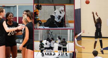 Collage of sports images, including volleyball players celebrating a point, a hockey goalie at the side of the net, a basketball player jumping to make a shot, and a group of hockey players celebrating