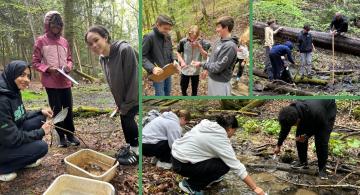 Forest Science Research