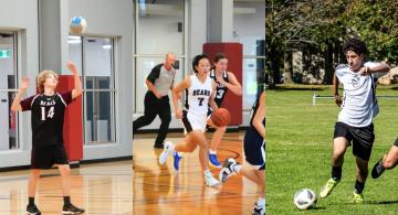 volleyball, basketball and soccer images