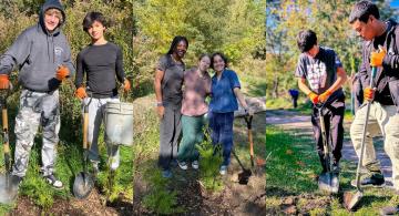 Students Planting Trees