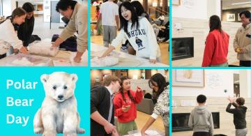 Collage of Polar Bear Day Images